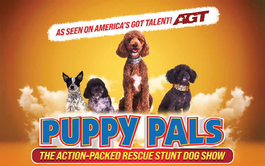 PUPPY PALS LIVE