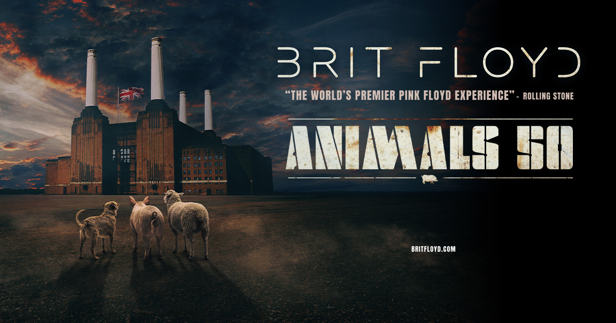 BRIT FLOYD “ANIMALS 50”